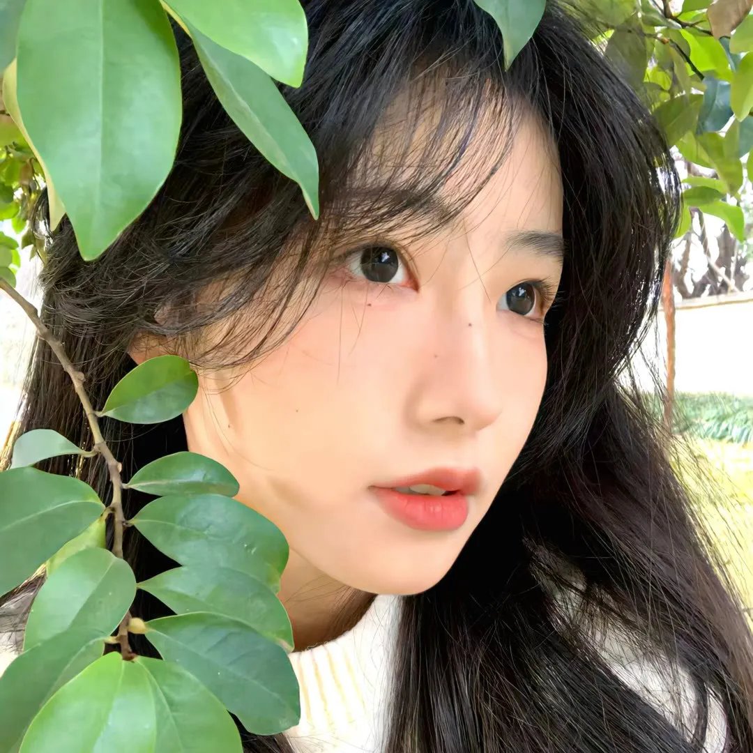 橘子收成时