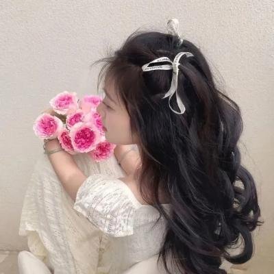 赤焰大抢案